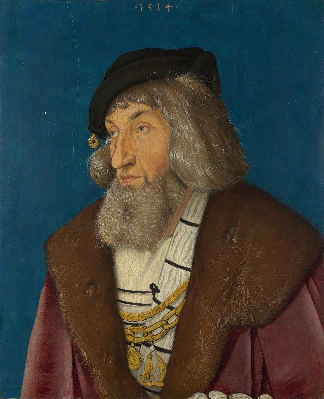 Hans Baldung Grien Portrait of a Man France oil painting art